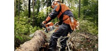 Пилы для лесного хозяйства
